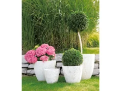 Bestpreis 👏 Jardini Blumentopf Crack Cim - 24/25 cm in weiß ✨ -GARTENMÖBEL Verkäufe 4451684 0340109 18889313