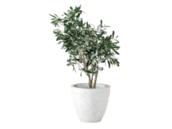 Coupon 💯 Jardini Blumentopf Crack Cim - 29/33 cm in weiß ❤️ -GARTENMÖBEL Verkäufe 4473761 0344930 2 18889412