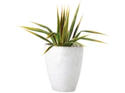 Brandneu ✔️ Jardini Blumentopf Crack Cim - 46/50 cm in weiß 👍 7 Brandneu ✔️ Jardini Blumentopf Crack Cim - 46/50 cm in weiß 👍 -GARTENMÖBEL Verkäufe 4473818 0344969 1 18889313