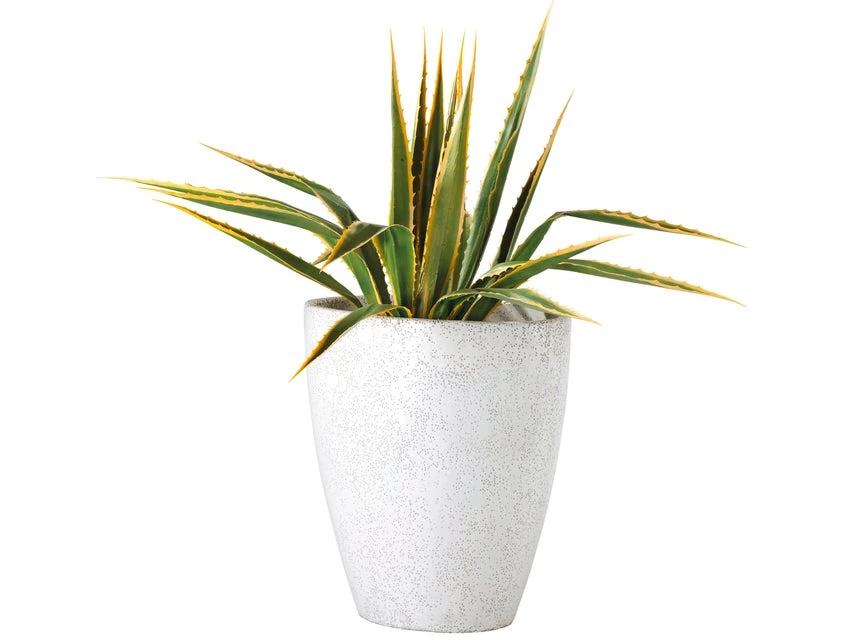 Brandneu ✔️ Jardini Blumentopf Crack Cim - 46/50 cm in weiß 👍 5 Brandneu ✔️ Jardini Blumentopf Crack Cim - 46/50 cm in weiß 👍 – Bild 3