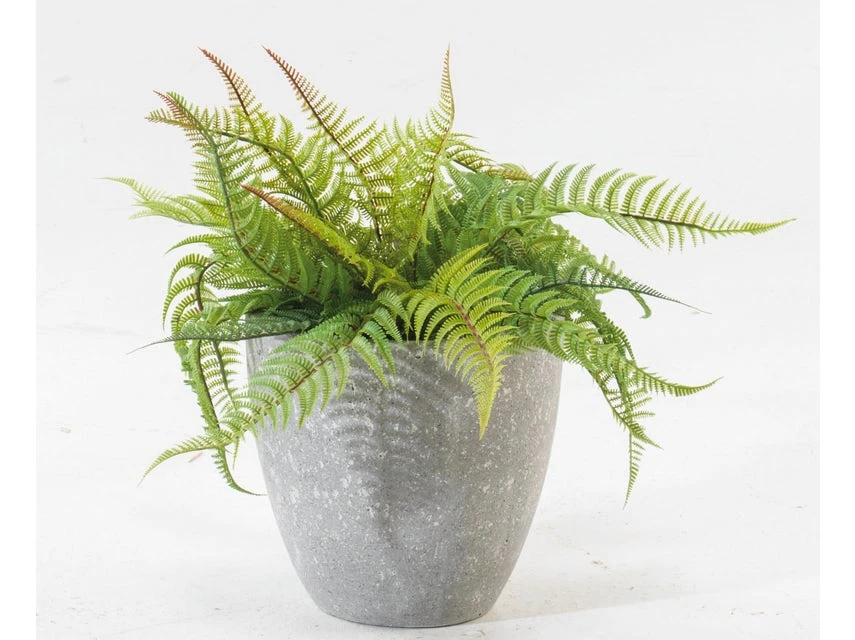 Brandneu 😍 Jardini Blumentopf Crack Cim - 24/25 cm in grau 👏 5 Brandneu 😍 Jardini Blumentopf Crack Cim - 24/25 cm in grau 👏 – Bild 3