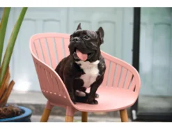 Auslauf ✨ Jardini Gartenstuhl Siena - 55/80/54,5 cm in pink 🥰 11 Auslauf ✨ Jardini Gartenstuhl Siena - 55/80/54,5 cm in pink 🥰 -GARTENMÖBEL Verkäufe 6534049 0572270 3 24249907