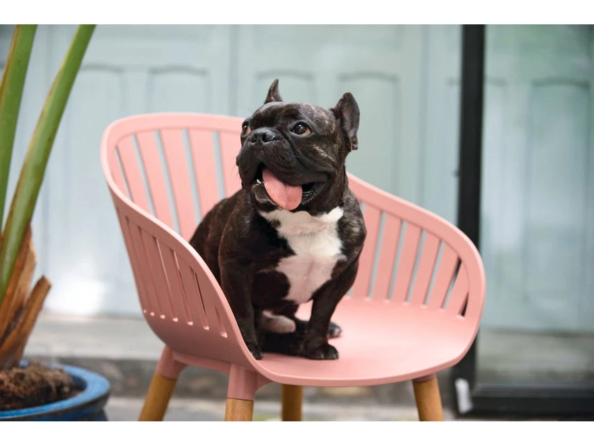 Auslauf ✨ Jardini Gartenstuhl Siena - 55/80/54,5 cm in pink 🥰 6 Auslauf ✨ Jardini Gartenstuhl Siena - 55/80/54,5 cm in pink 🥰 – Bild 4