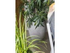 Schlussverkauf ✔️ Jardini Blumentopf Crack Cim - 62/48 cm in grau 😉 9 Schlussverkauf ✔️ Jardini Blumentopf Crack Cim - 62/48 cm in grau 😉 -GARTENMÖBEL Verkäufe 6645699 0587286 23773725