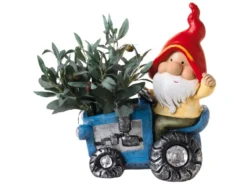 Billig 🧨 Jardini Dekofigur Zwerg auf Traktor/Roller in mehrfarbig 🔥 7 Billig 🧨 Jardini Dekofigur Zwerg auf Traktor/Roller in mehrfarbig 🔥 -GARTENMÖBEL Verkäufe 6756412 0605870 4 24667175