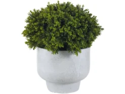 Top 10 🧨 Jardini Blumentopf Petra - 40/50 cm in beige 🔔 -GARTENMÖBEL Verkäufe 6785871 0612812 2 24669395 1