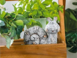 Angebote 🌟 Jardini Dekofigur Schnecke - 17,5/14,5/9 cm in grau 👏 -GARTENMÖBEL Verkäufe 6812028 0623514 1 24668610